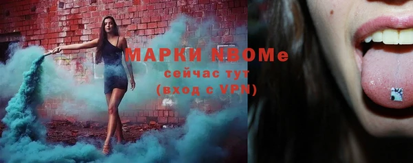прущий лед Новозыбков