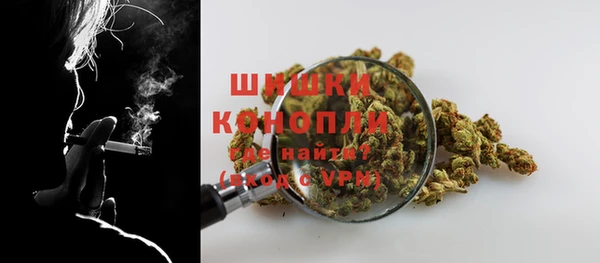 прущий лед Новозыбков